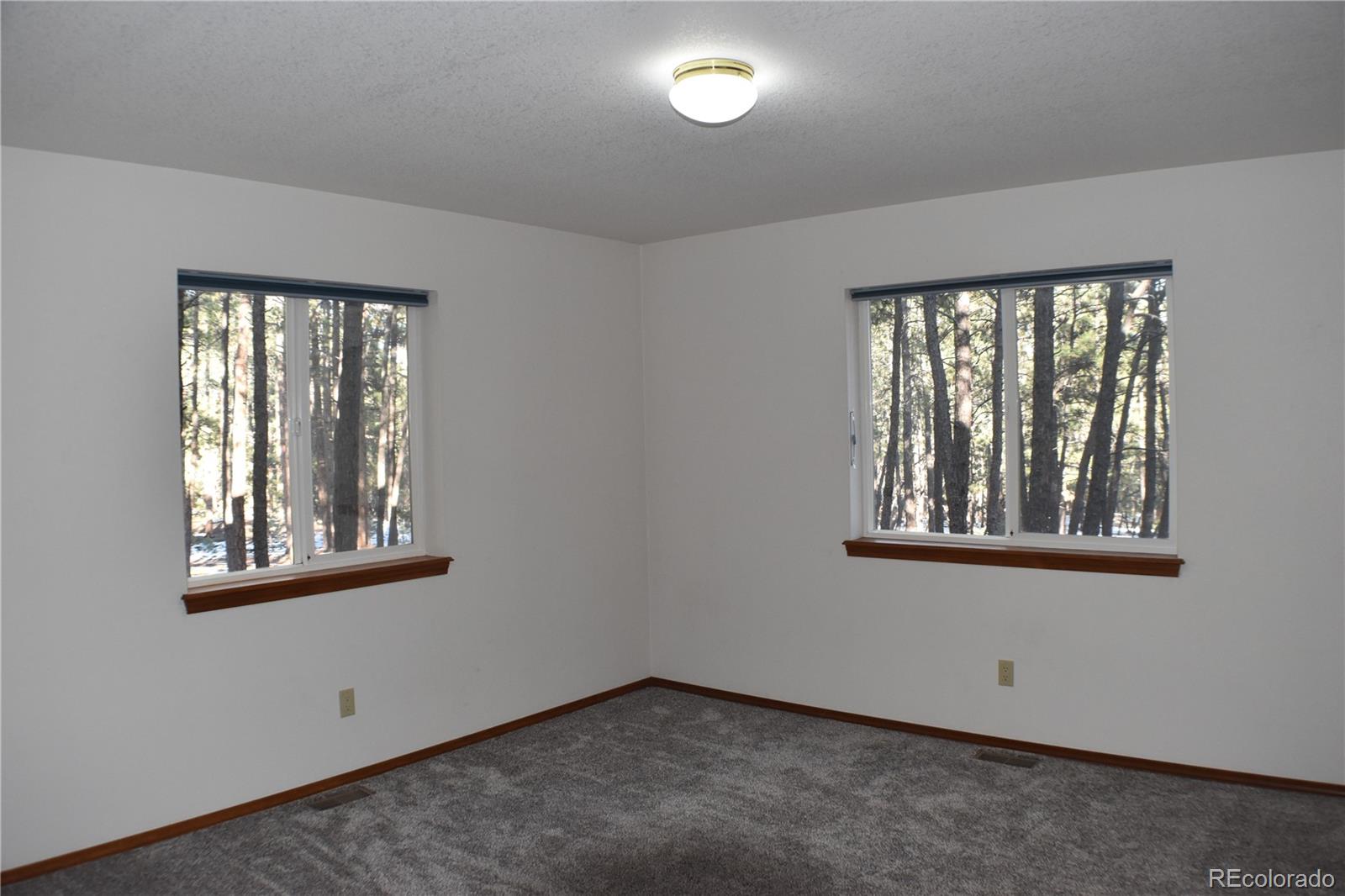 14540 Rosholt Loop Colorado Springs CO 80921