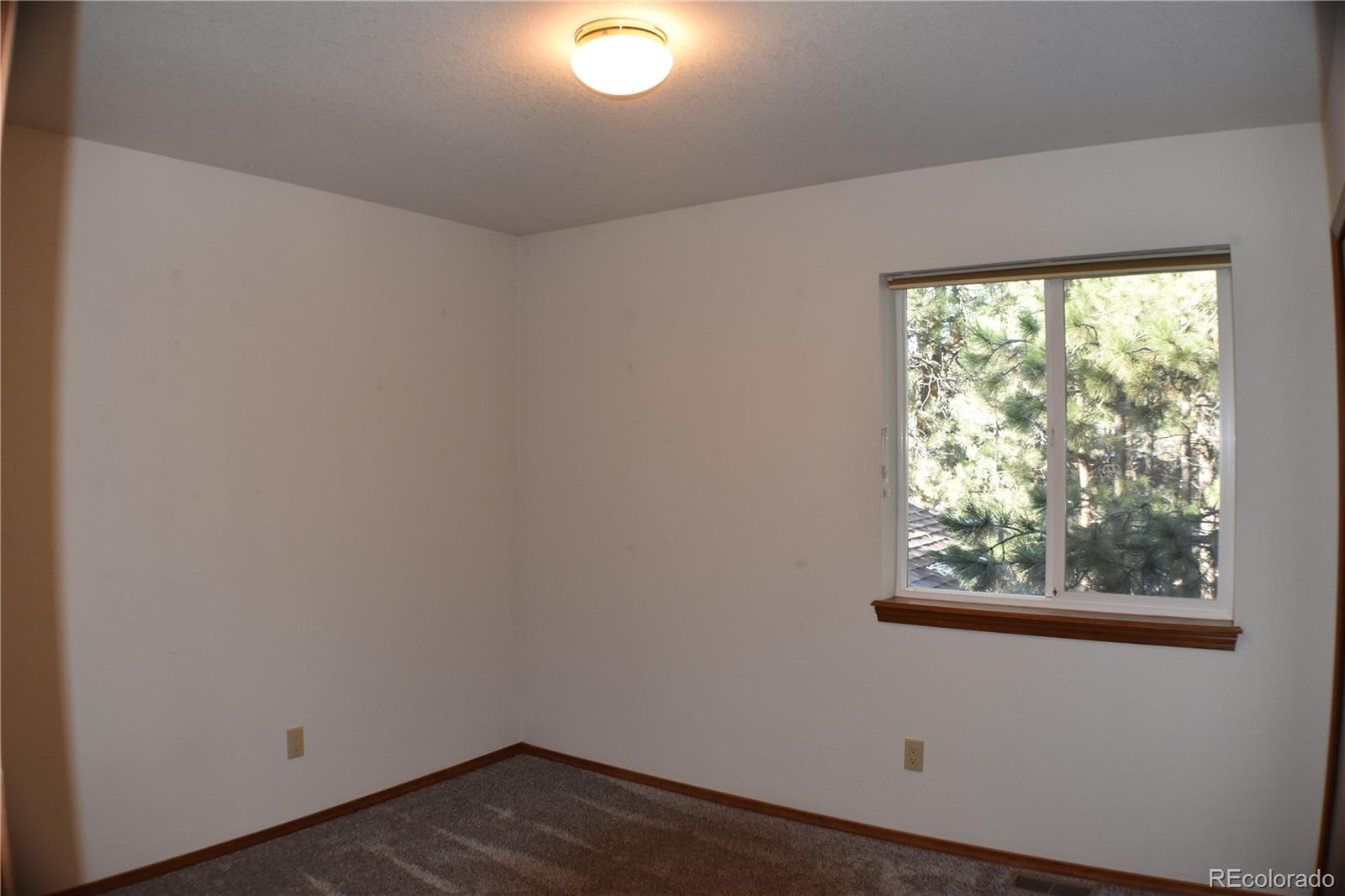 14540 Rosholt Loop Colorado Springs CO 80921