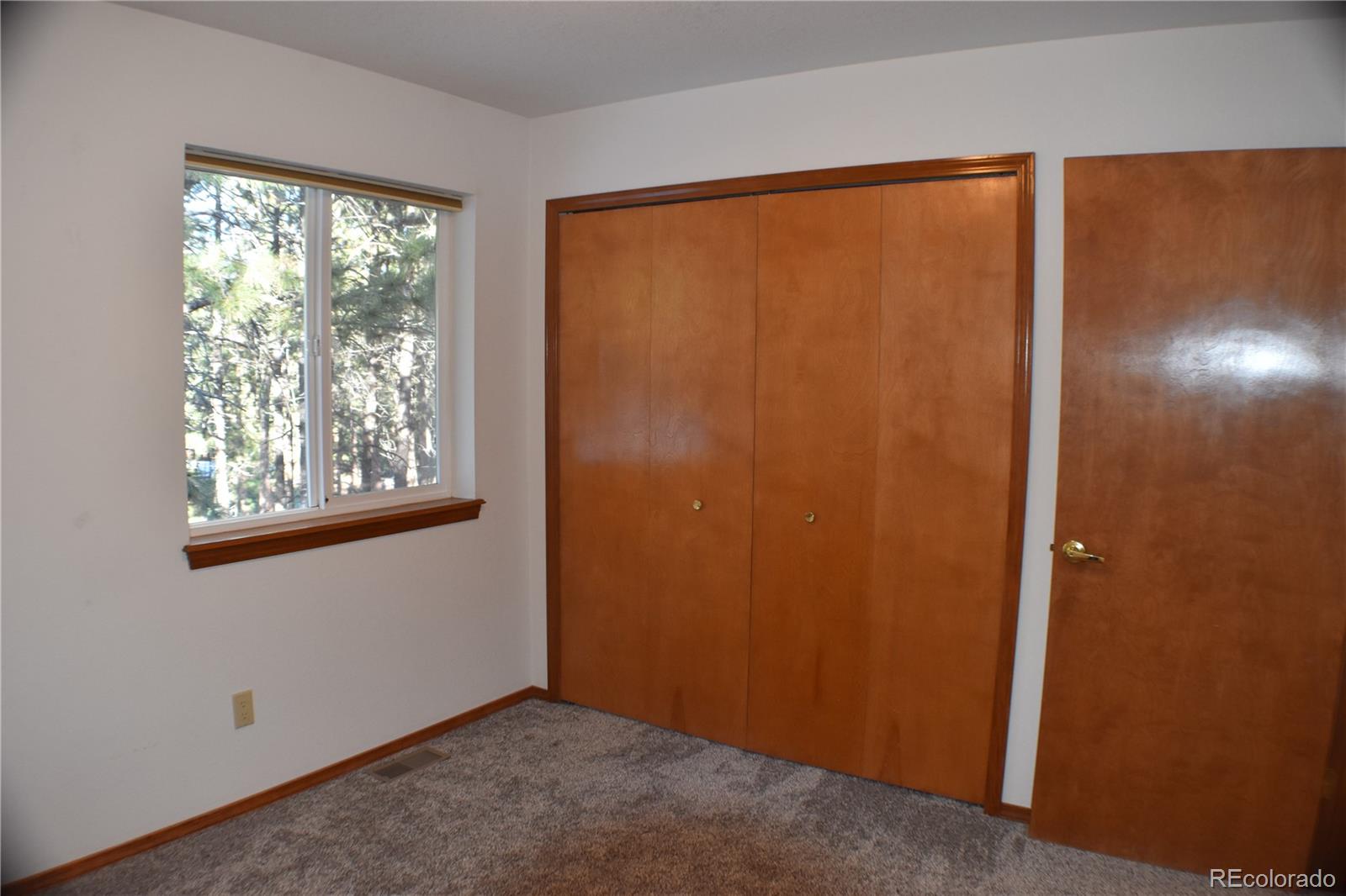 14540 Rosholt Loop Colorado Springs CO 80921