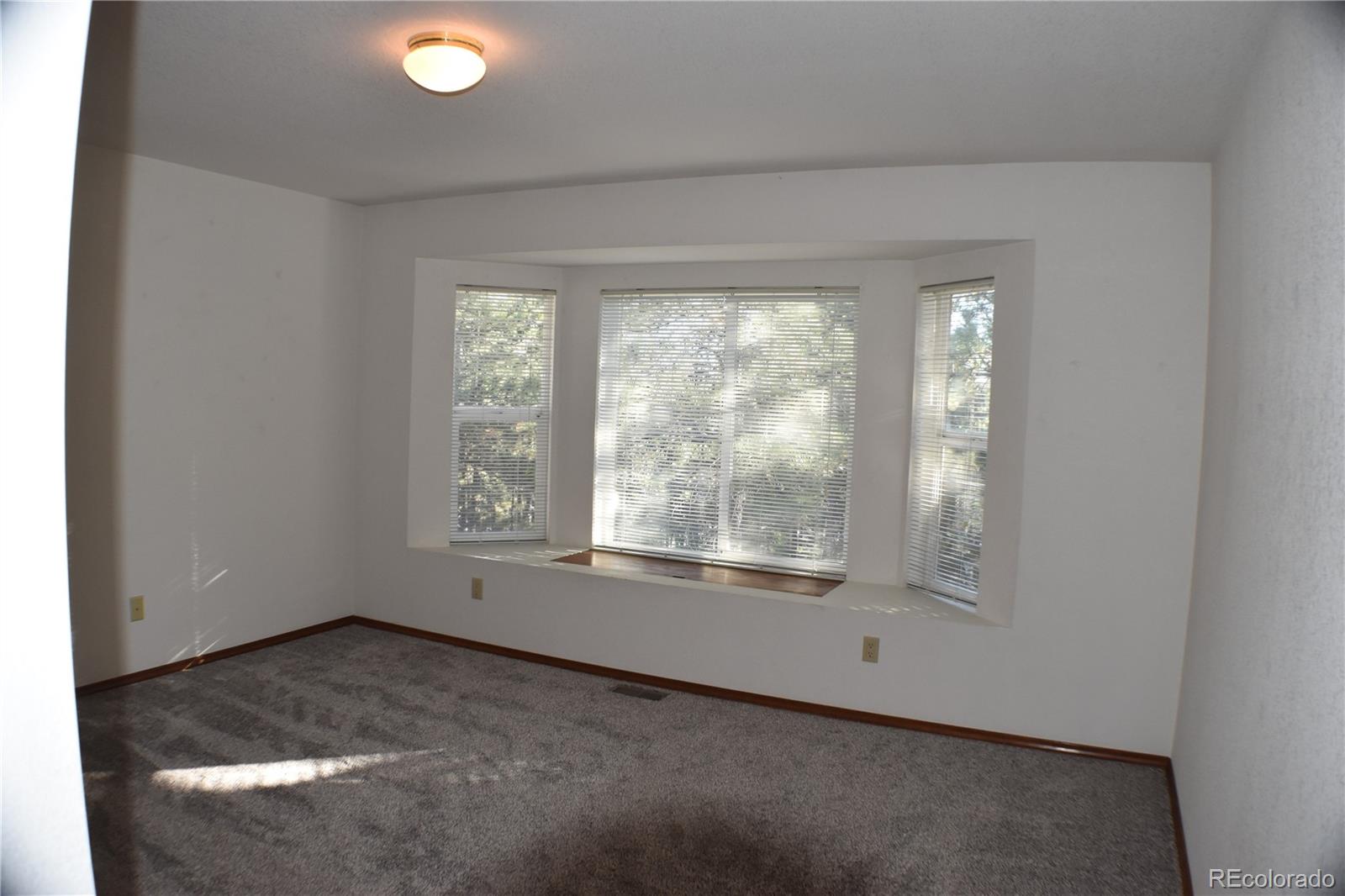 14540 Rosholt Loop Colorado Springs CO 80921