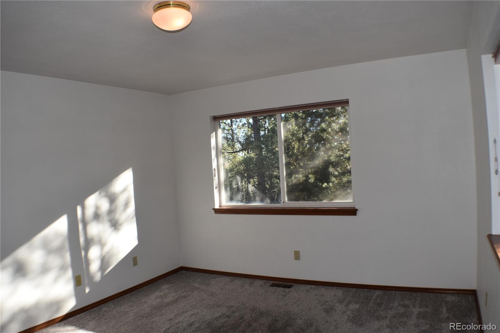 14540 Rosholt Loop Colorado Springs CO 80921
