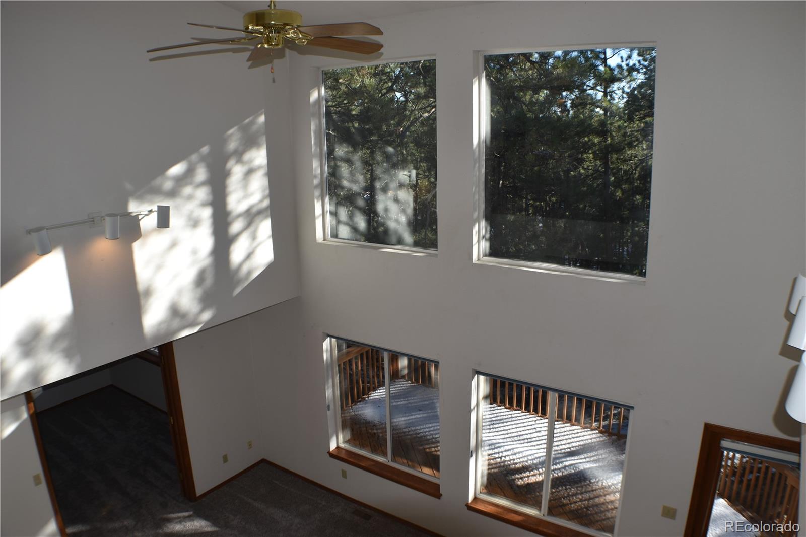 14540 Rosholt Loop Colorado Springs CO 80921