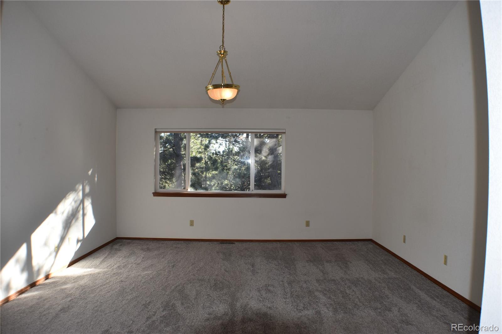 14540 Rosholt Loop Colorado Springs CO 80921