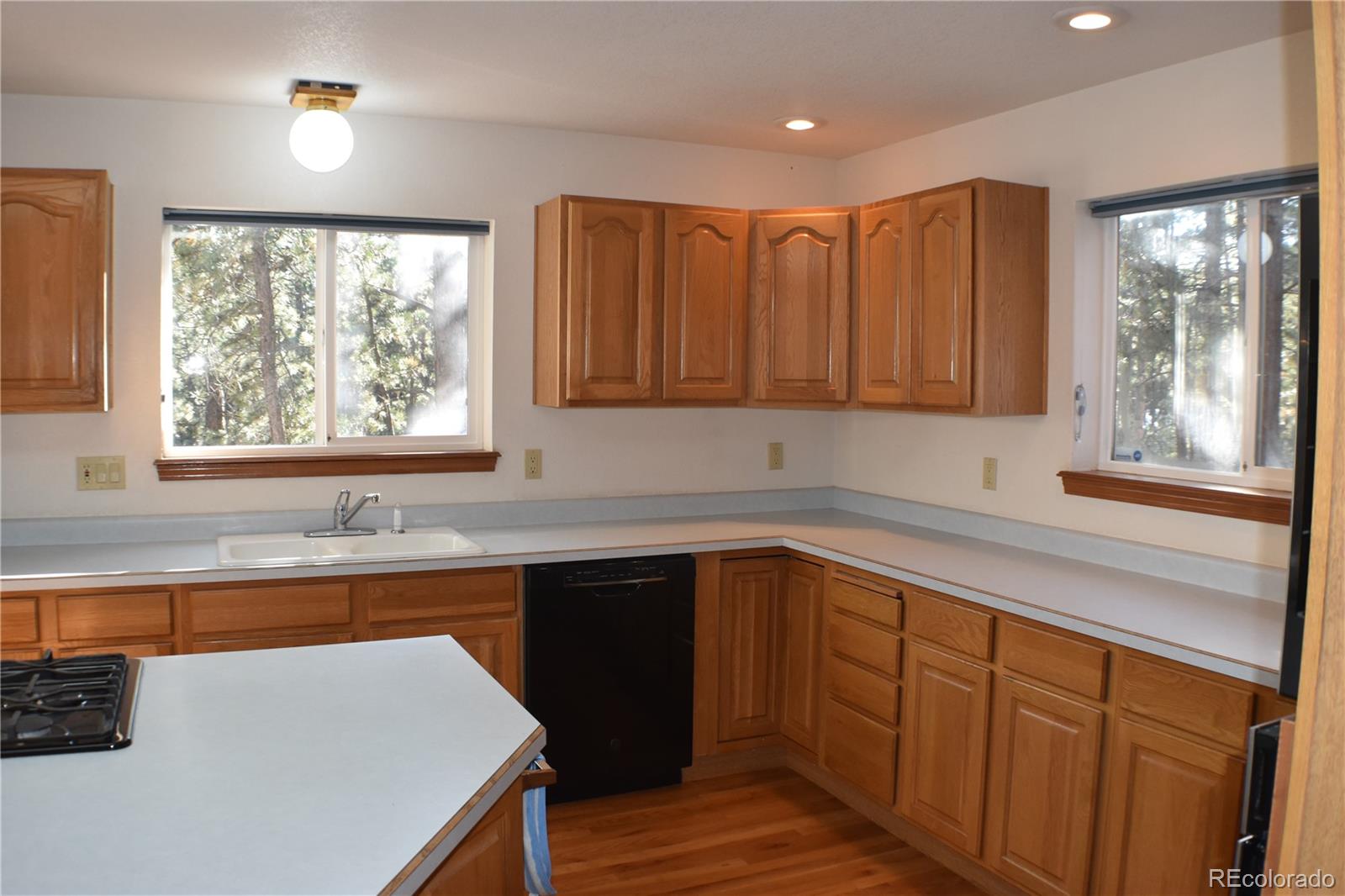 14540 Rosholt Loop Colorado Springs CO 80921