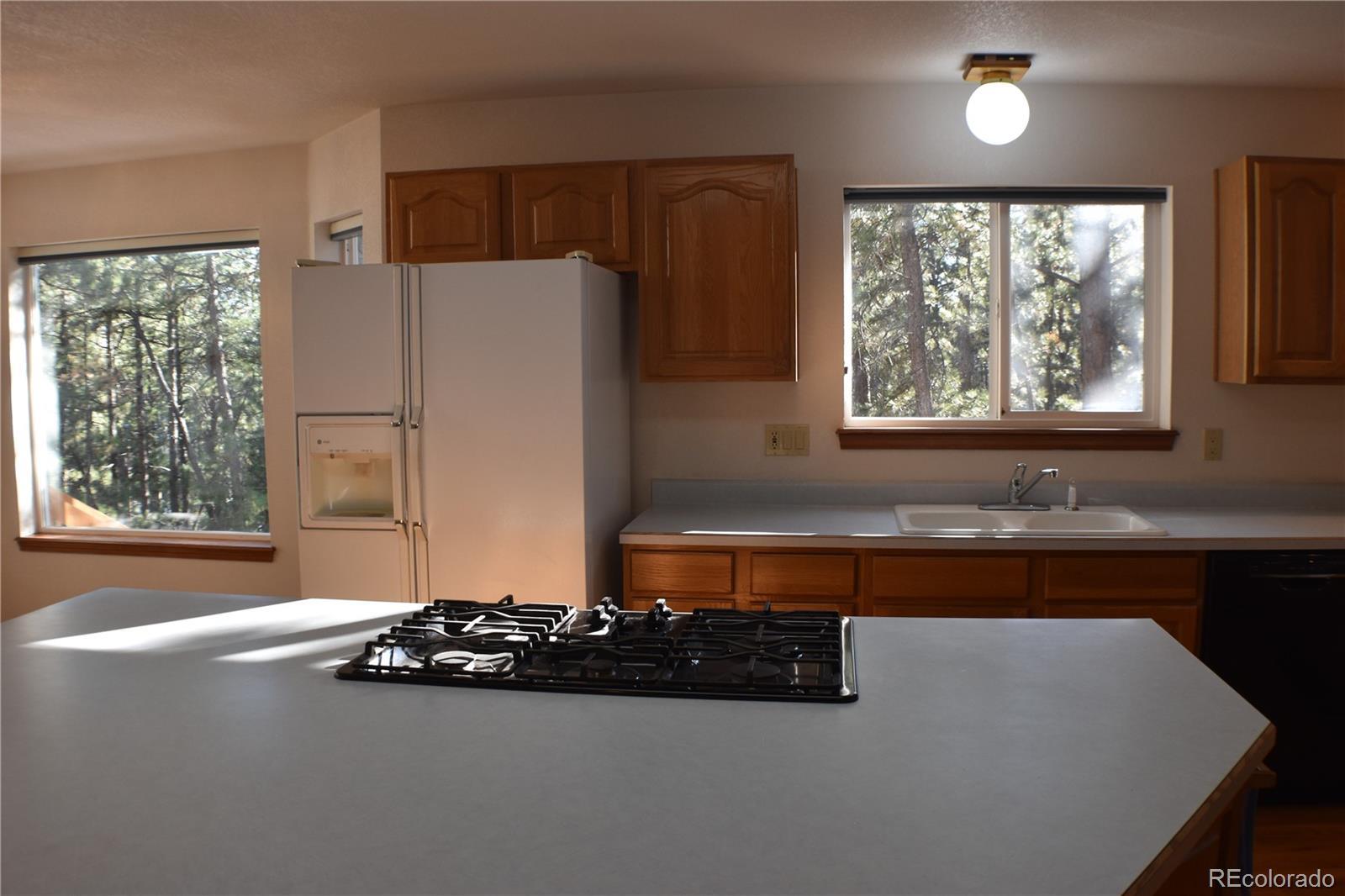 14540 Rosholt Loop Colorado Springs CO 80921