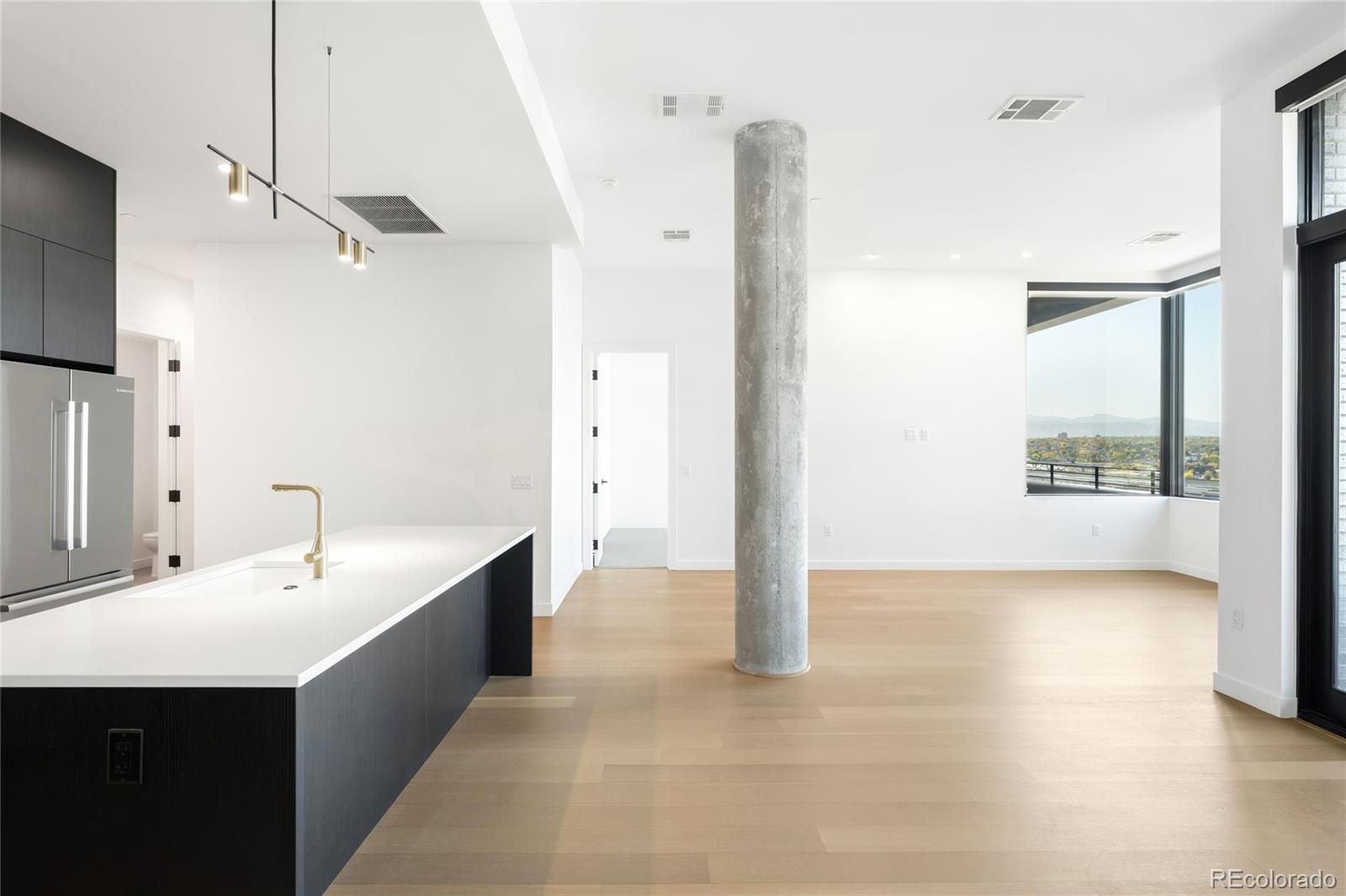 3520 Chestnut Place Denver CO 80216