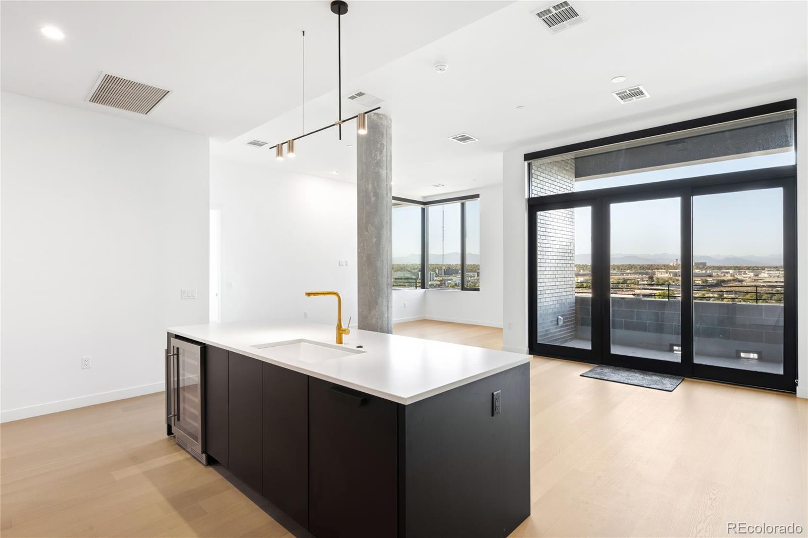 3520 Chestnut Place Denver CO 80216