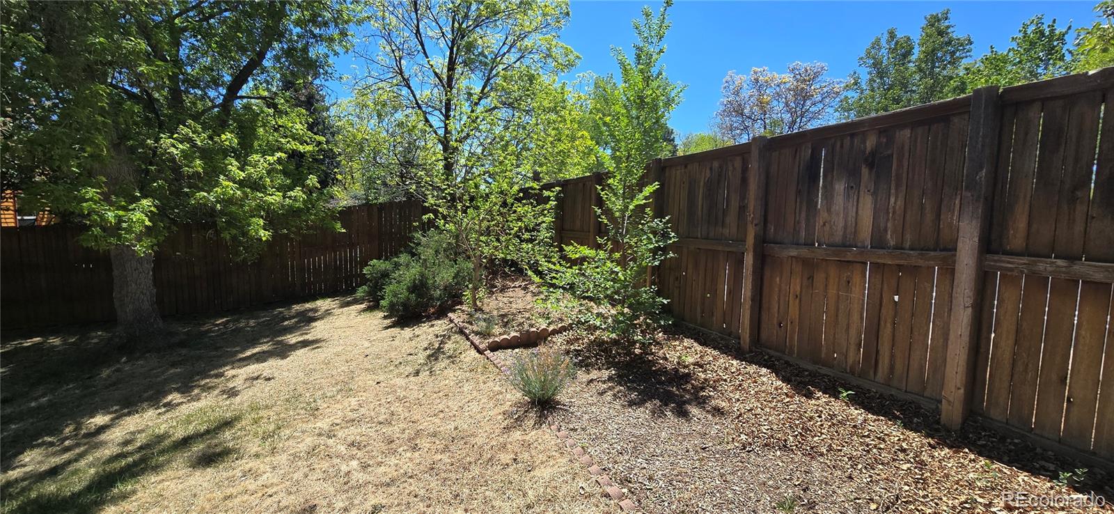 317 Grouse Court Louisville CO 80027