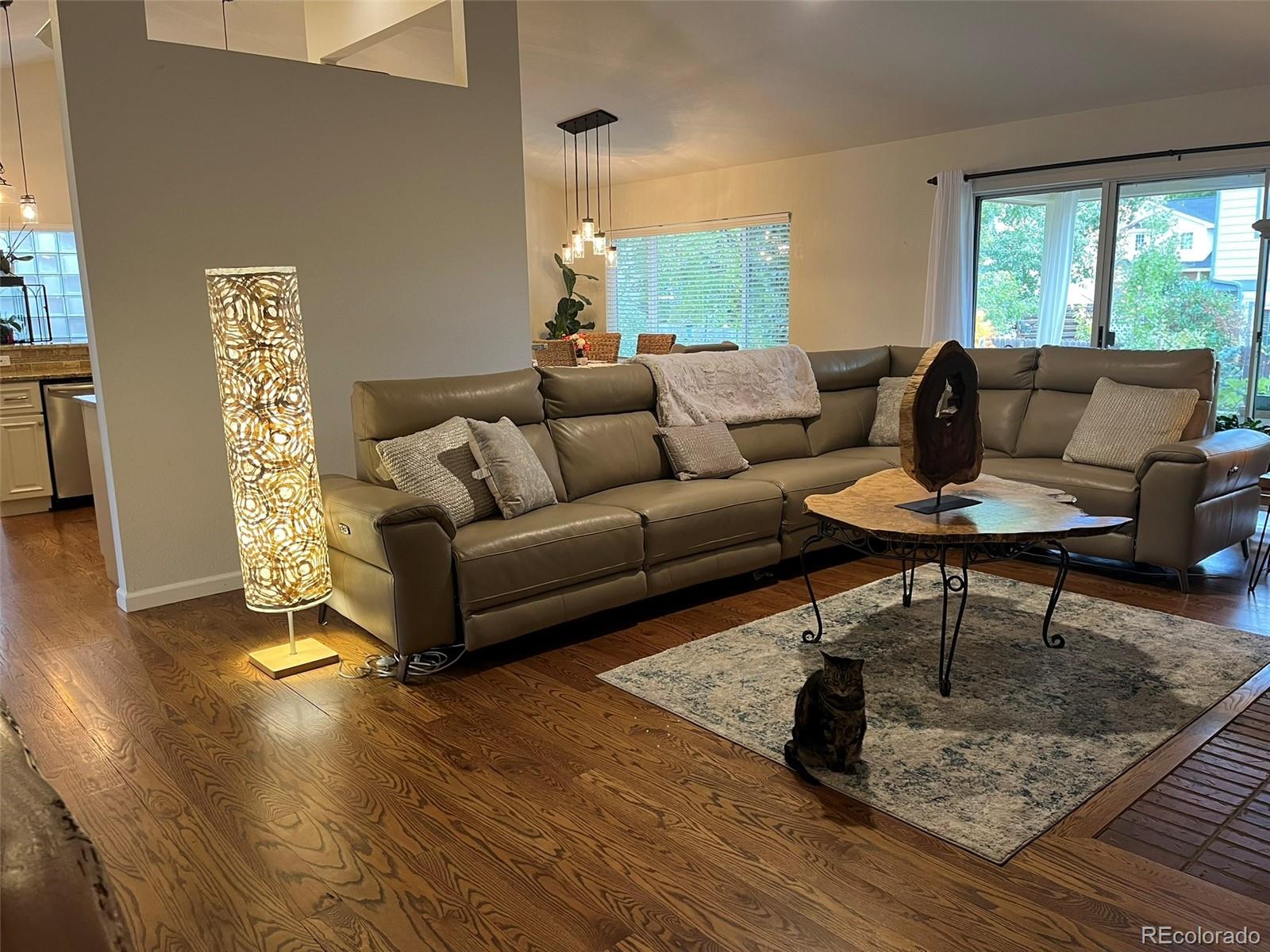 10025 Teton Court Lone Tree CO 80124