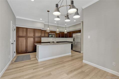 9885 Greensview Circle Lone Tree CO 80124