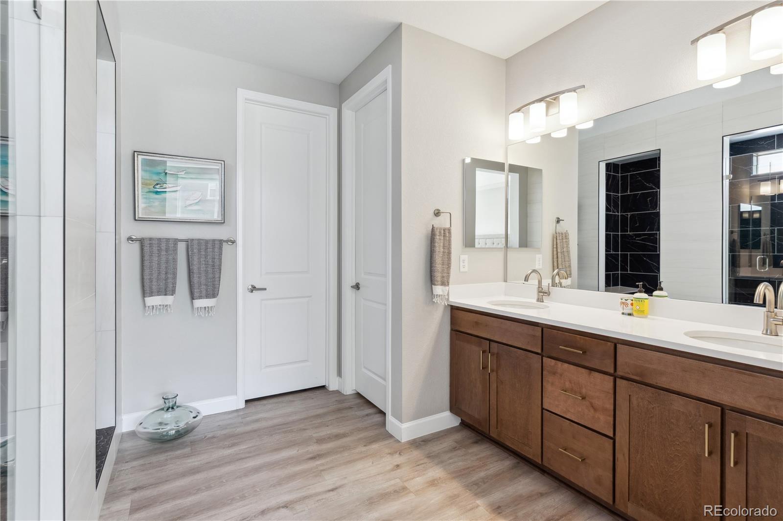 6601 Mentha Drive Castle Rock CO 80108