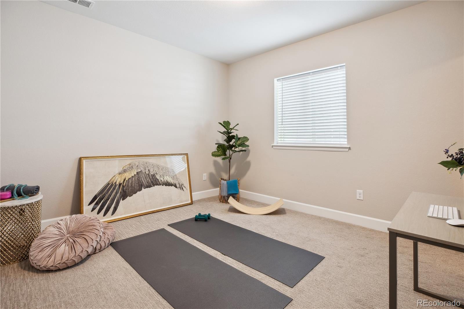 6601 Mentha Drive Castle Rock CO 80108