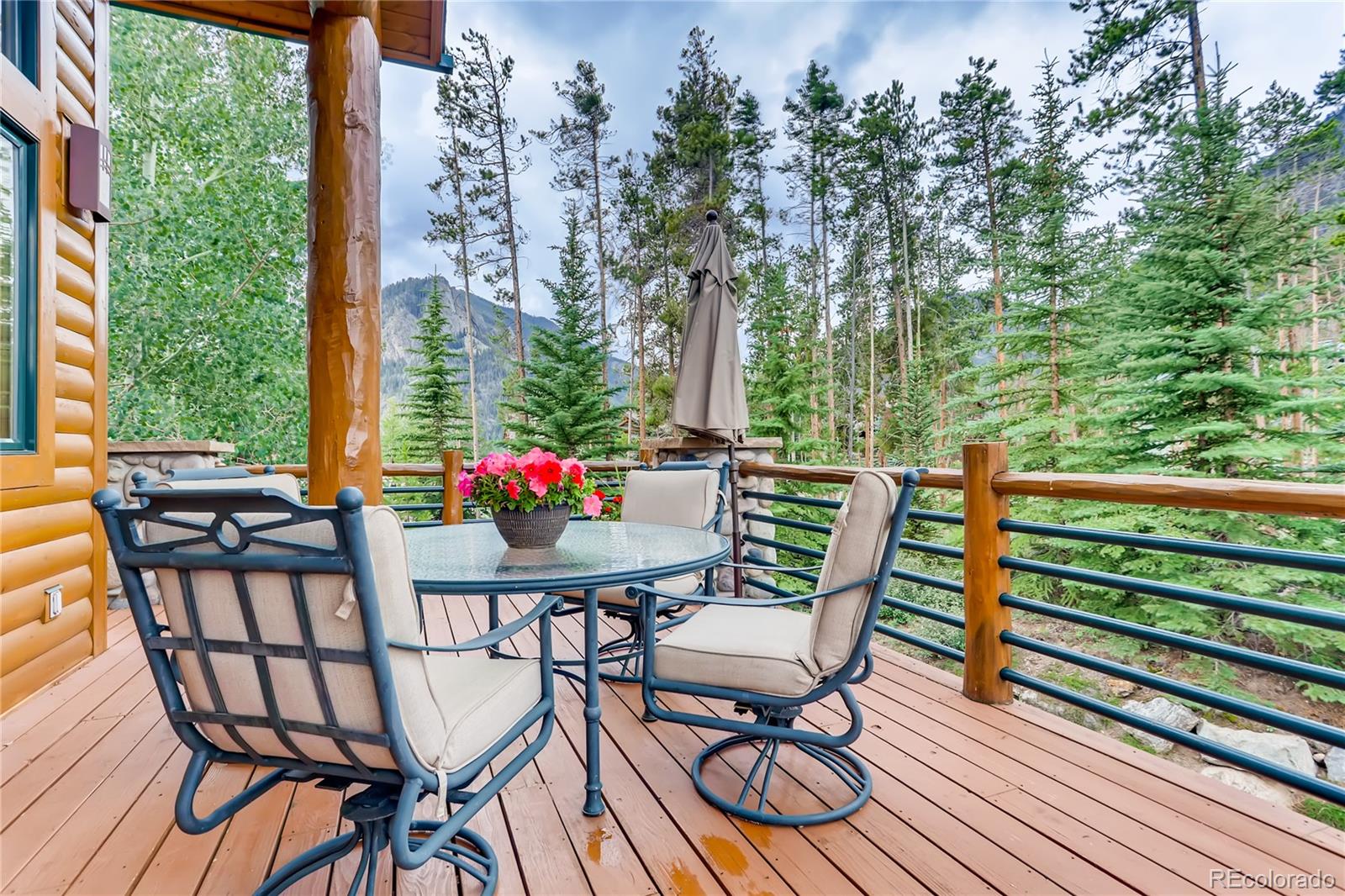 113 Primrose Place Frisco CO 80443