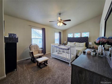 4834 Condor Creek Colorado Springs CO 80916