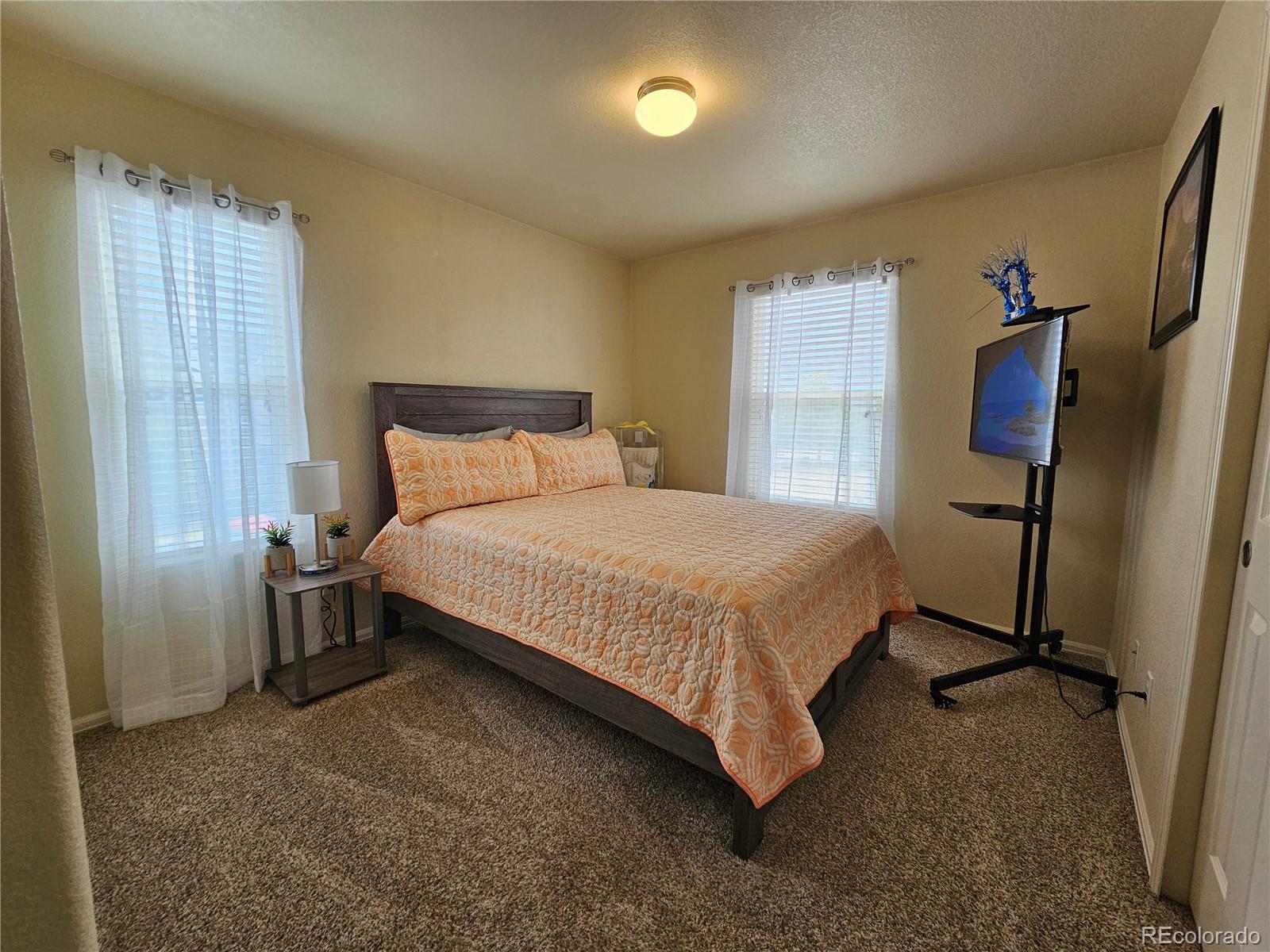 4834 Condor Creek Colorado Springs CO 80916