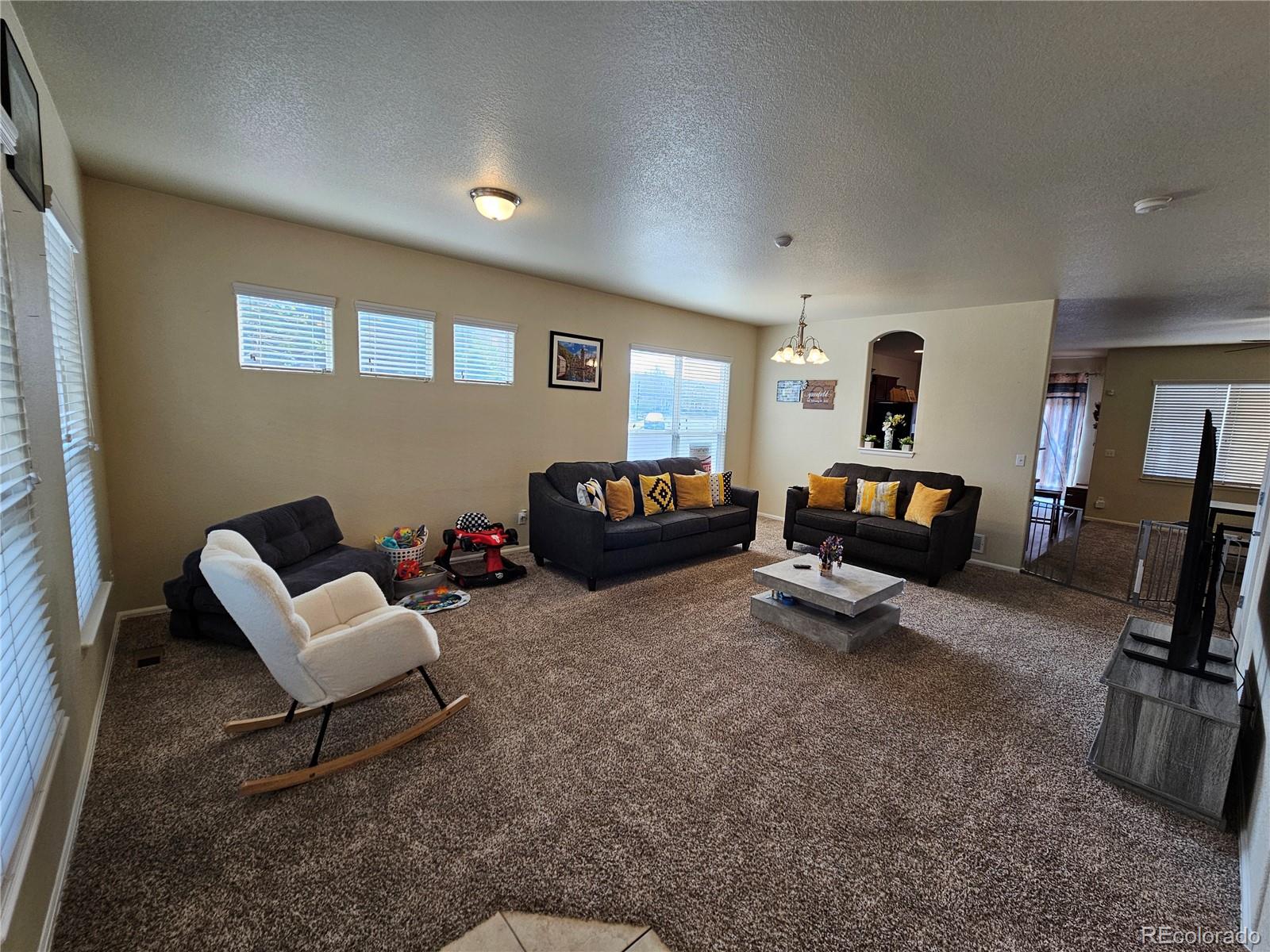 4834 Condor Creek Colorado Springs CO 80916