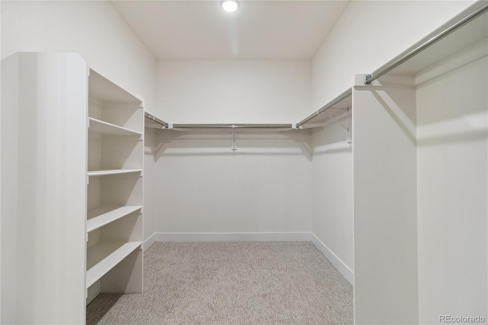 8918 Whiteclover Street Littleton CO 80125