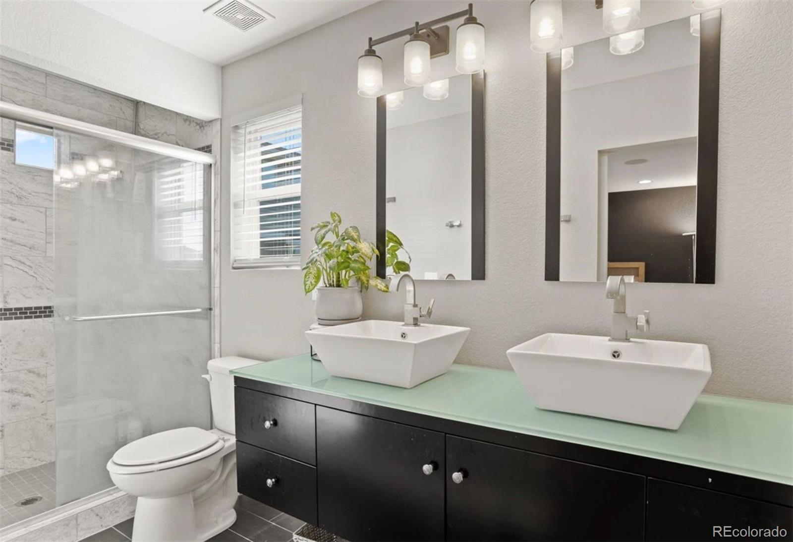 4484 Vindaloo Drive Castle Rock CO 80109