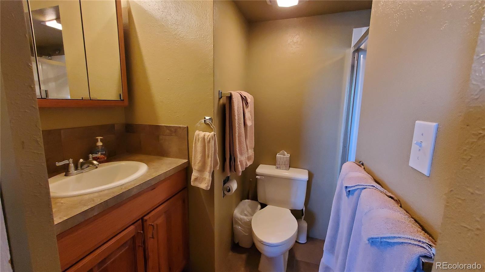 2400 Lodge Pole Circle Silverthorne CO 80498