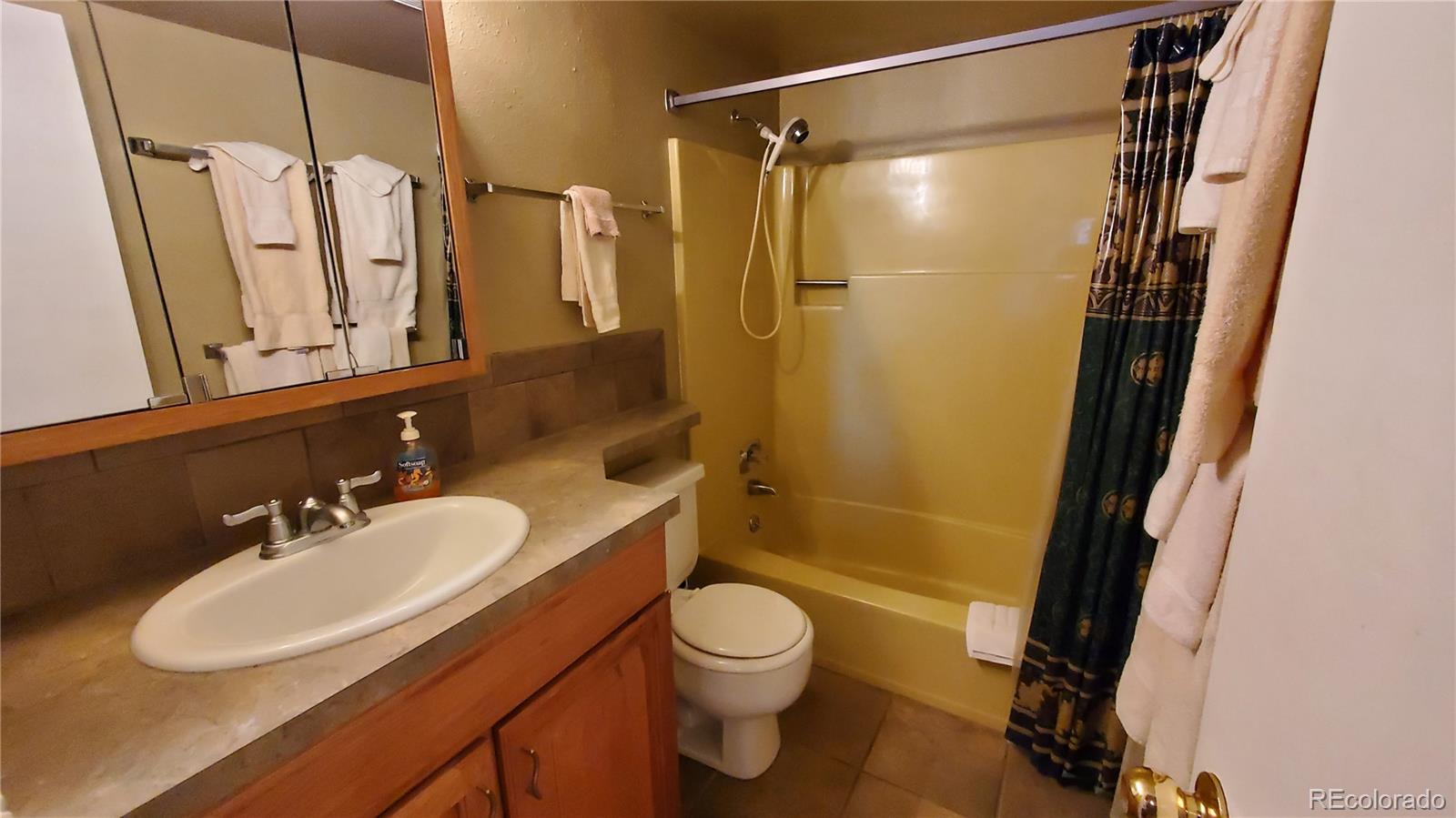 2400 Lodge Pole Circle Silverthorne CO 80498