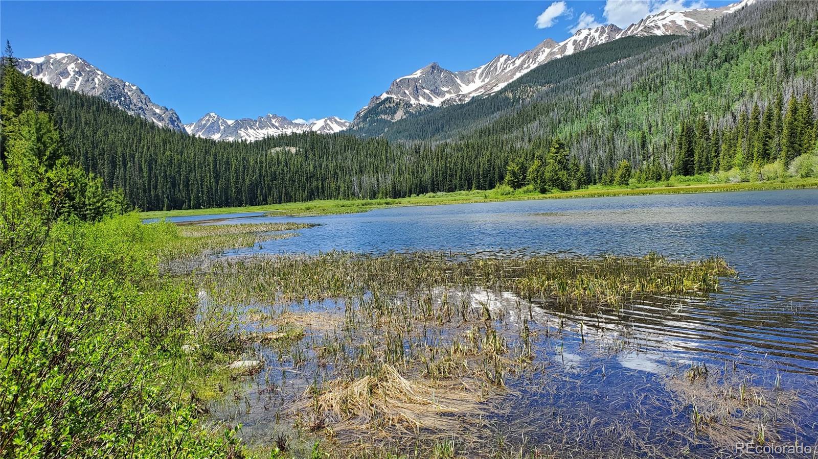 2400 Lodge Pole Circle Silverthorne CO 80498