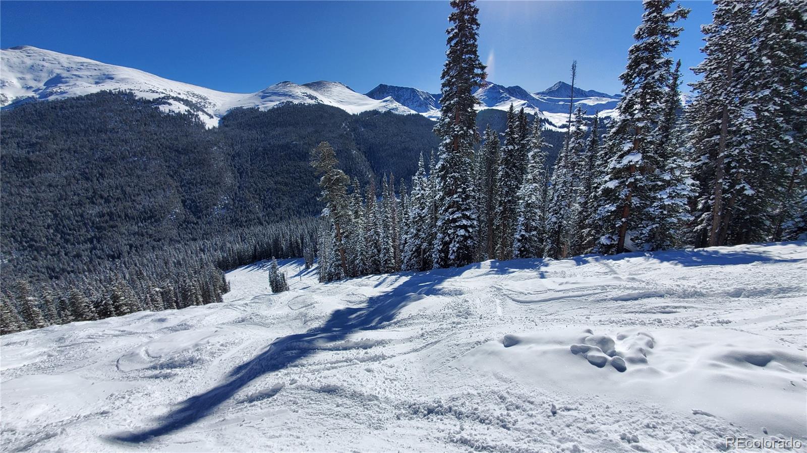 2400 Lodge Pole Circle Silverthorne CO 80498