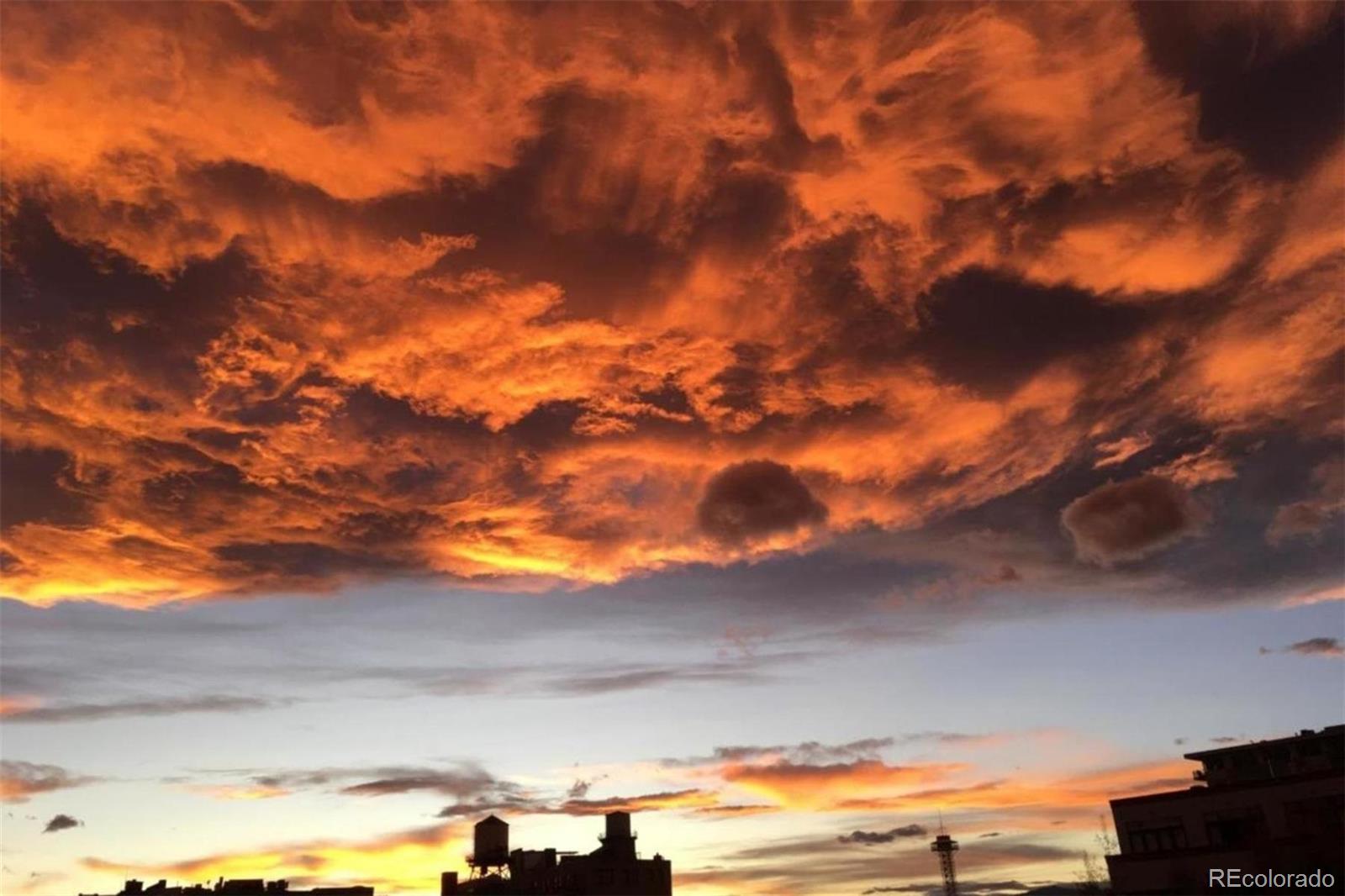 1499 Blake Street Denver CO 80202