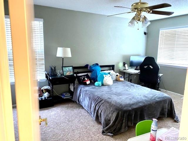 10902 Flagler Drive Parker CO 80134