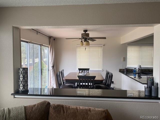 10902 Flagler Drive Parker CO 80134
