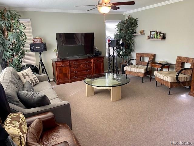10902 Flagler Drive Parker CO 80134