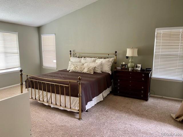 10902 Flagler Drive Parker CO 80134