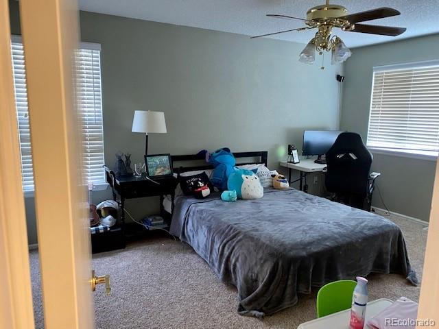 10902 Flagler Drive Parker CO 80134