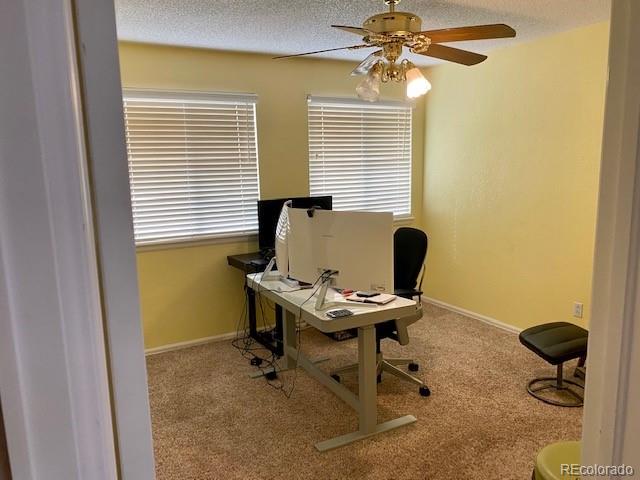 10902 Flagler Drive Parker CO 80134