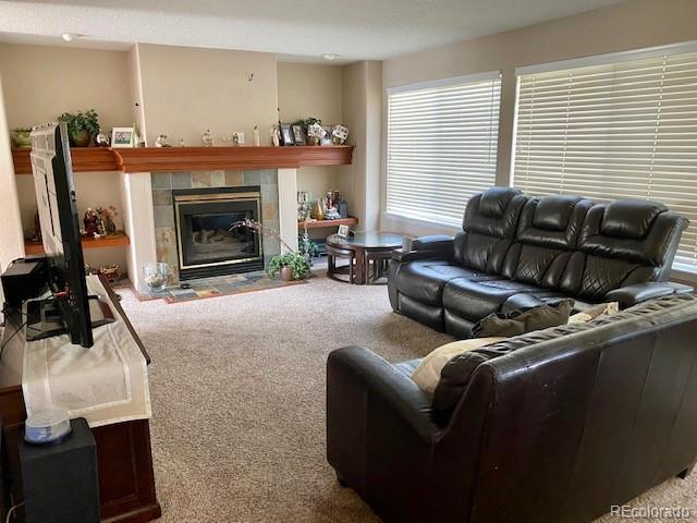 10902 Flagler Drive Parker CO 80134