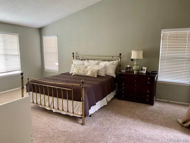 10902 Flagler Drive Parker CO 80134