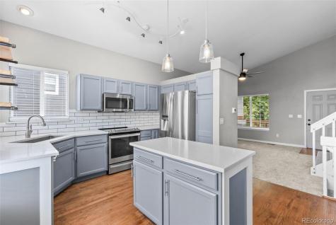 8743 Wildrye Parker CO 80134
