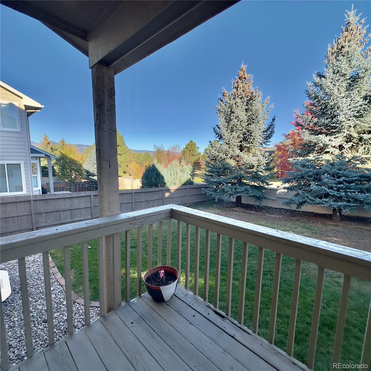 3296 Greenmoor Court Colorado Springs CO 80920