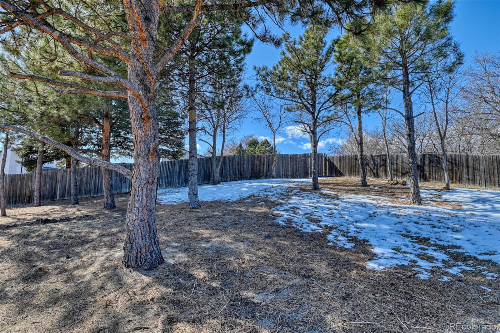 1738 Wooten Road Colorado Springs CO 80915