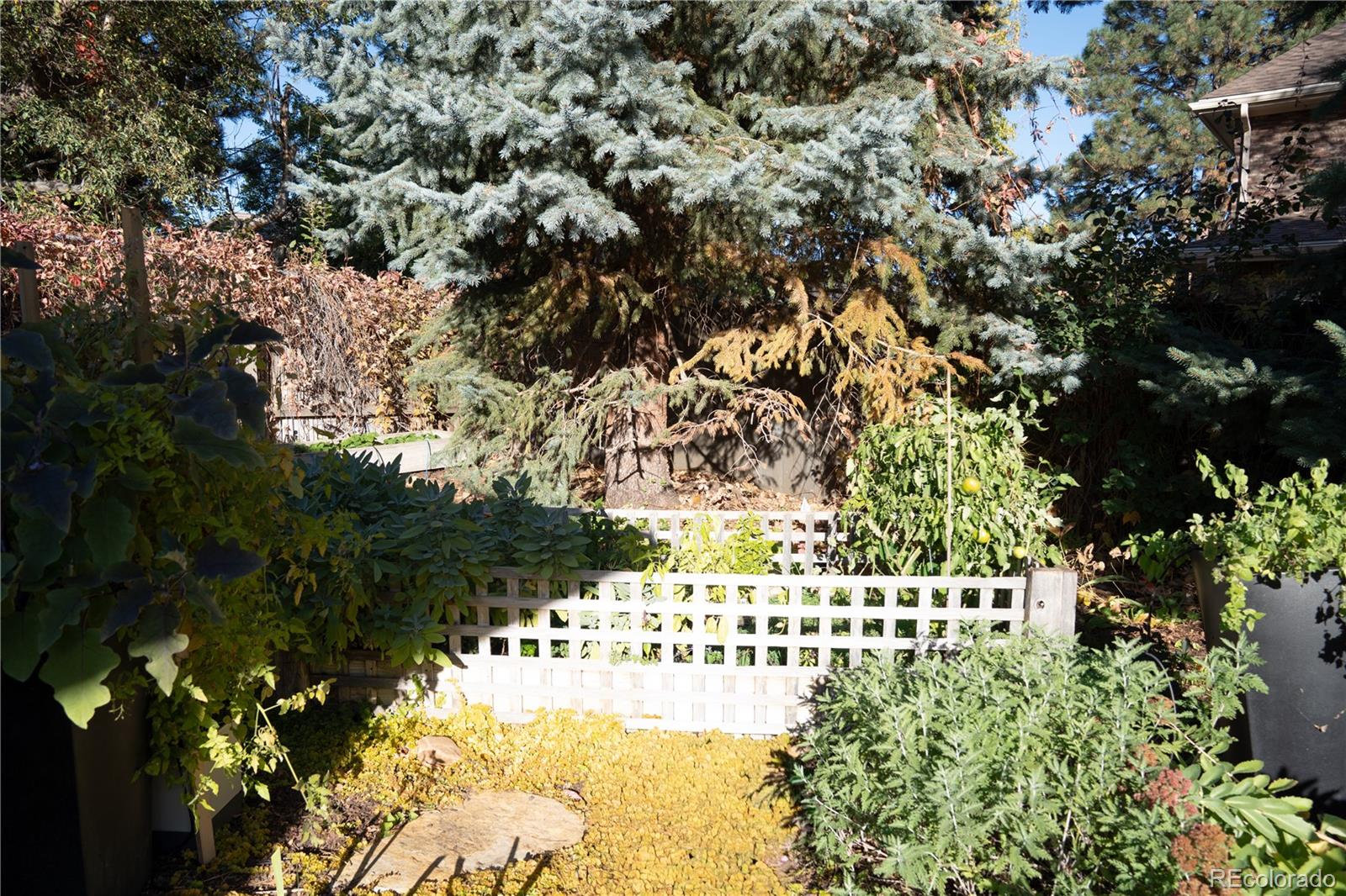 190 S Glencoe Street Denver CO 80246