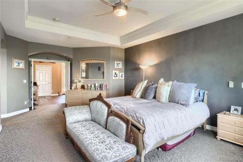 735 Evening Star Court Castle Rock CO 80108
