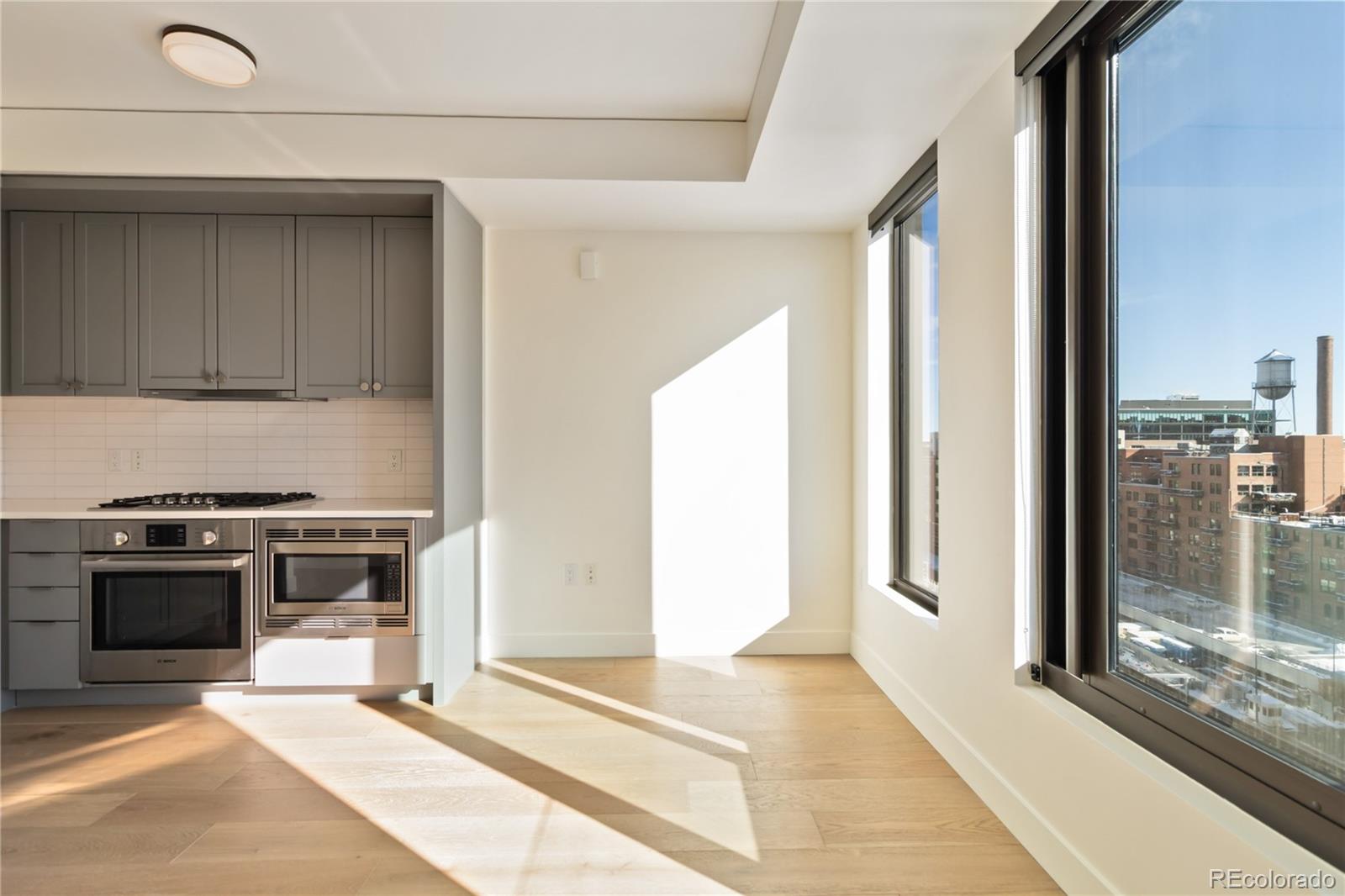 Denver CO, 1750 Wewatta Street, Unit 1124