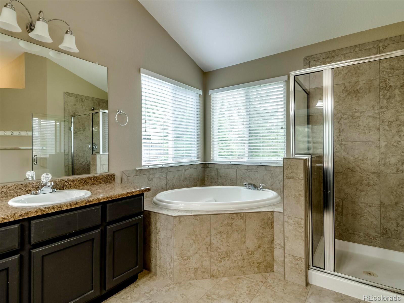 10272 Dunsford Drive Lone Tree CO 80124