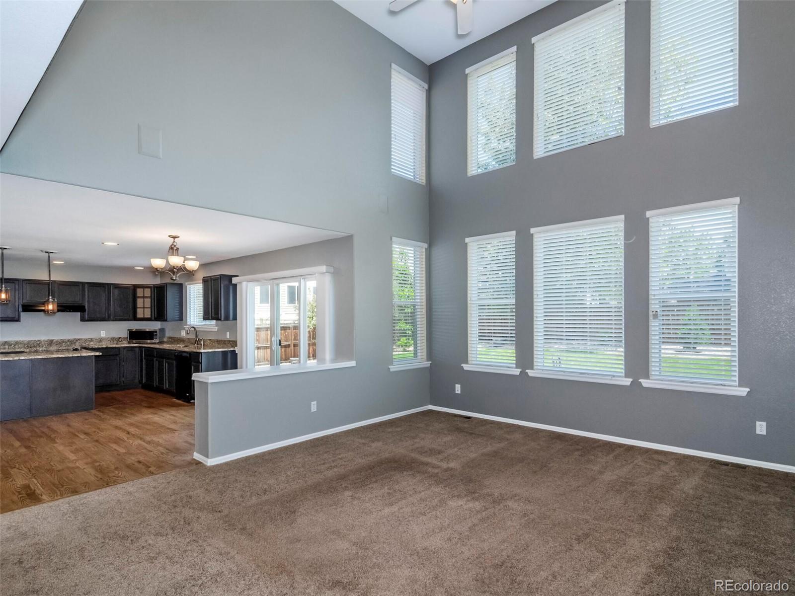 10272 Dunsford Drive Lone Tree CO 80124