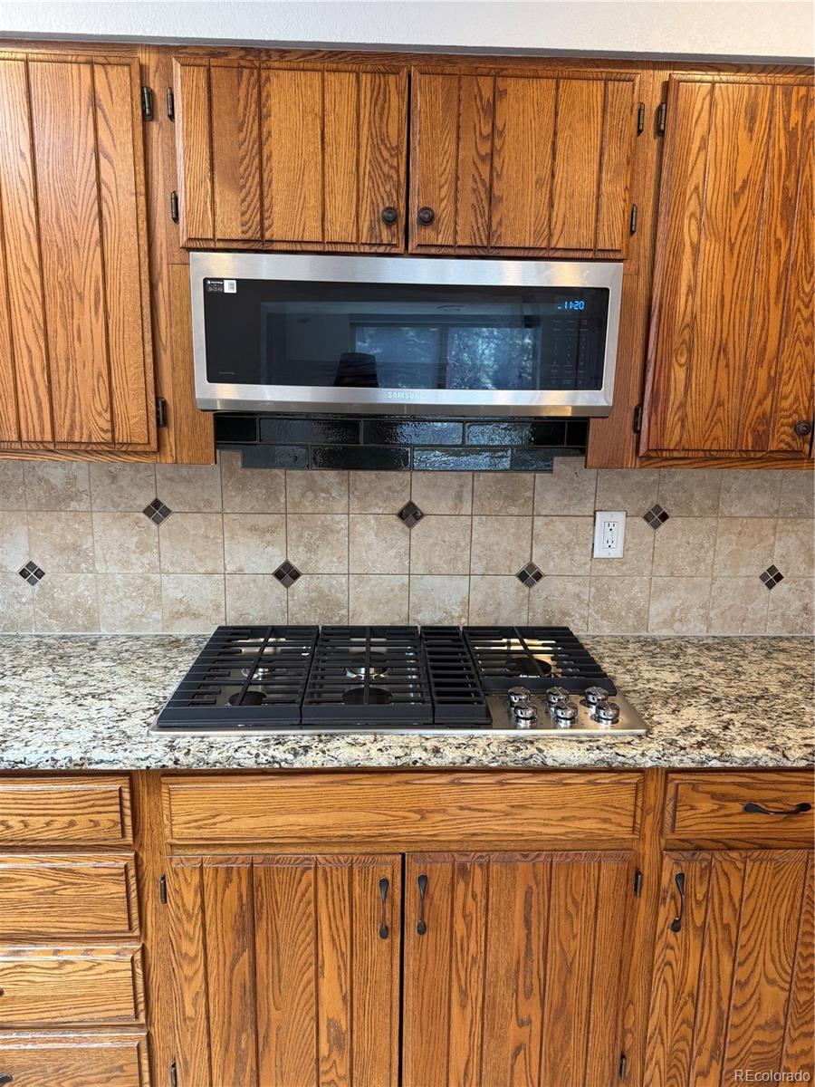 1030 E Possee Road Castle Rock CO 80108