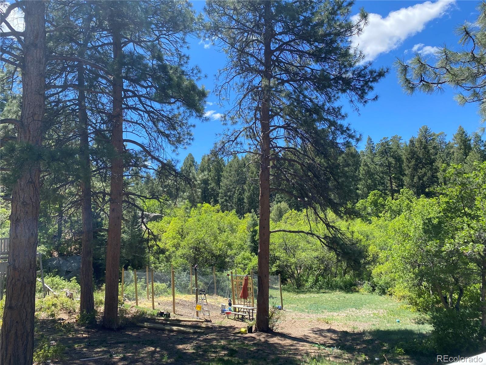1030 E Possee Road Castle Rock CO 80108