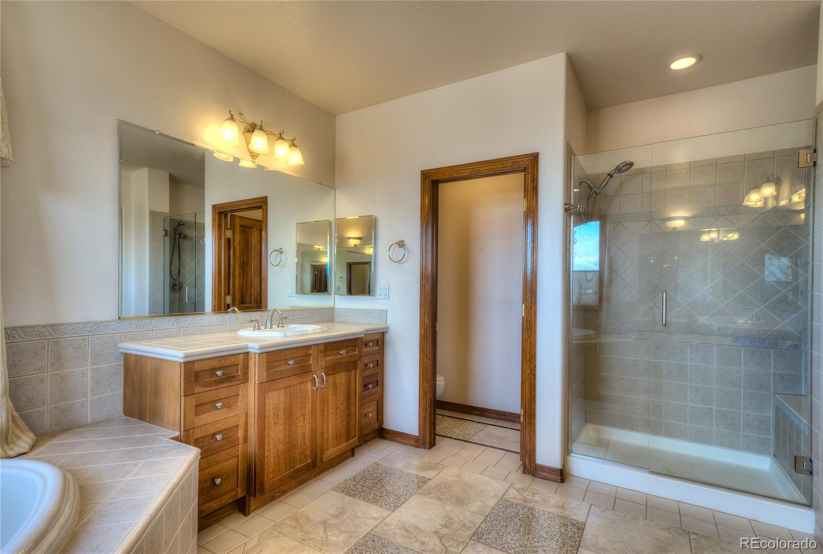 10431 Carriage Club Drive Lone Tree CO 80124