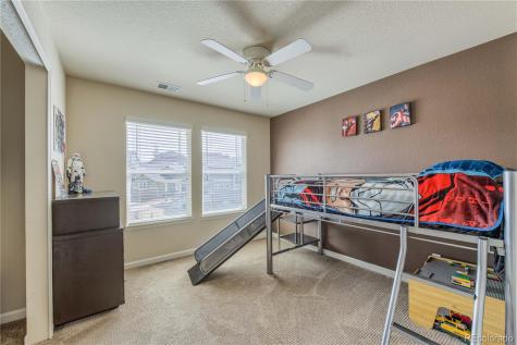 8381 Briar Trace Way Castle Pines CO 80108