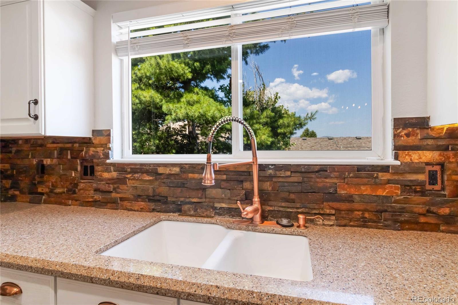 9821 Bucknell Court Highlands Ranch CO 80129
