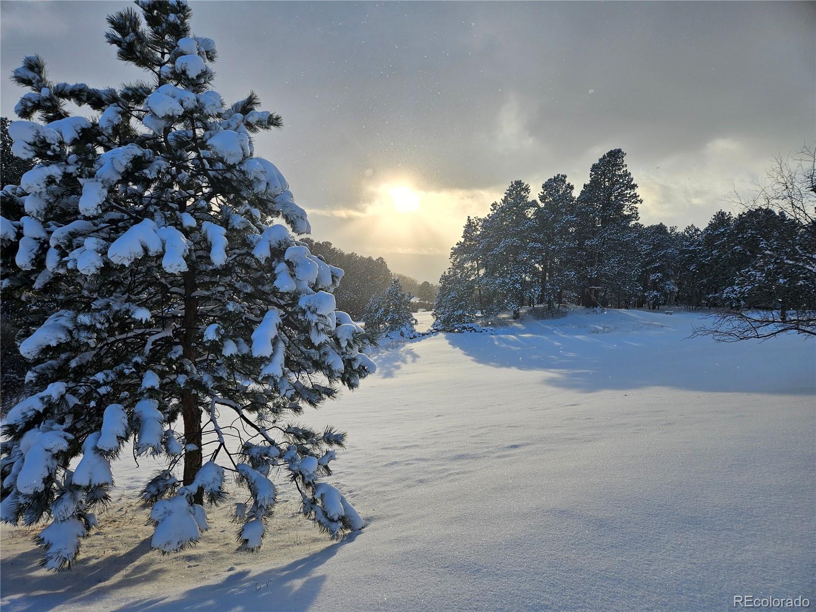 18475 West Road Monument CO 80132