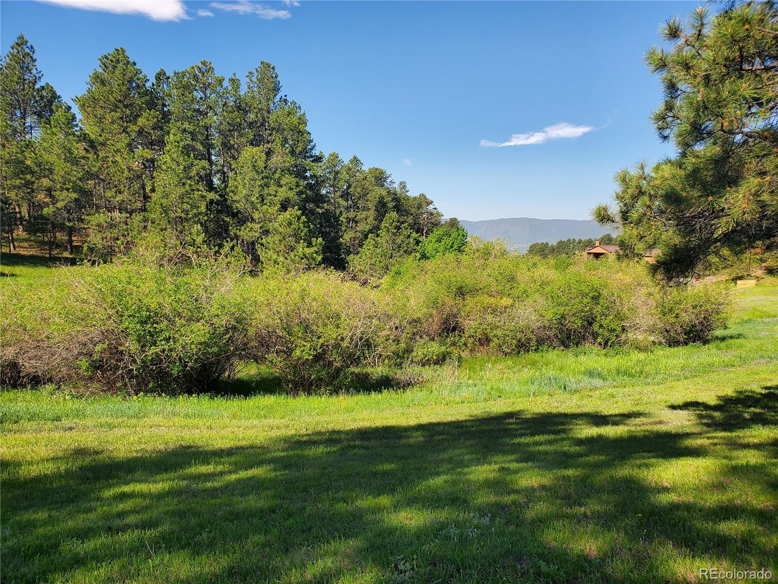 18475 West Road Monument CO 80132